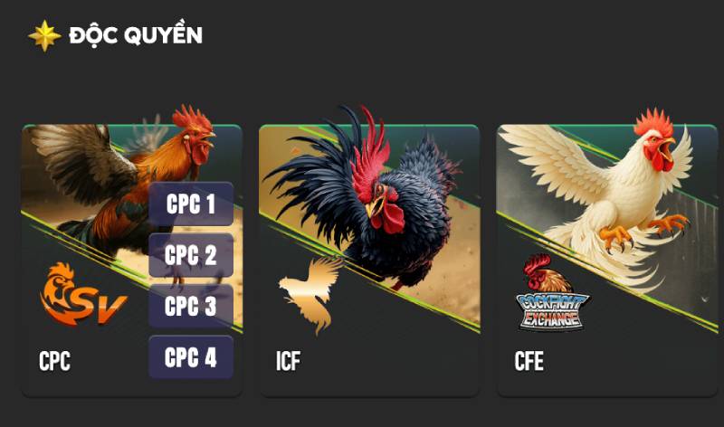 Trực tiếp đá gà Thomo 